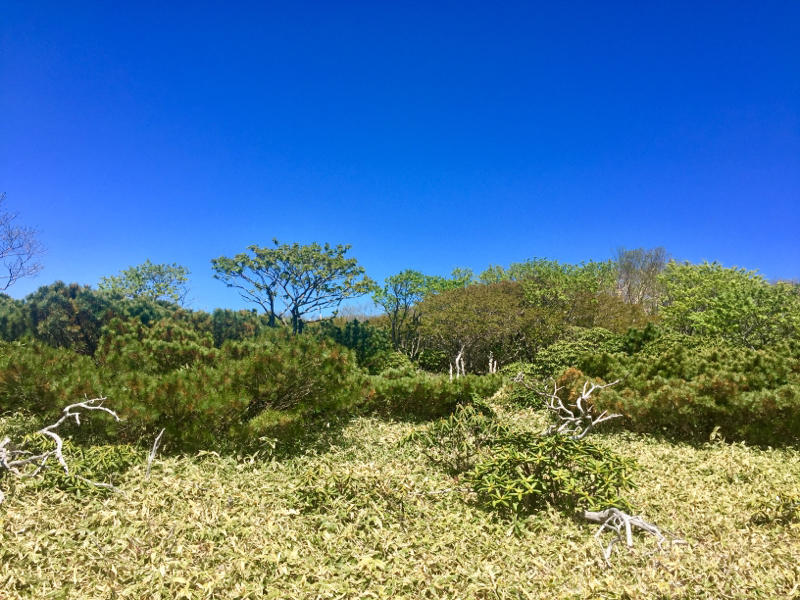 c0225536_09022265.jpg