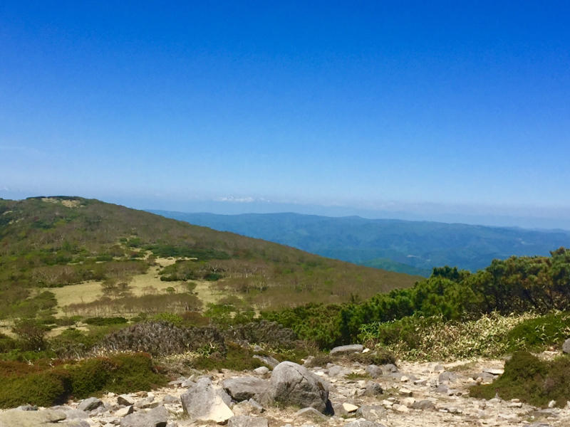 c0225536_09051464.jpg
