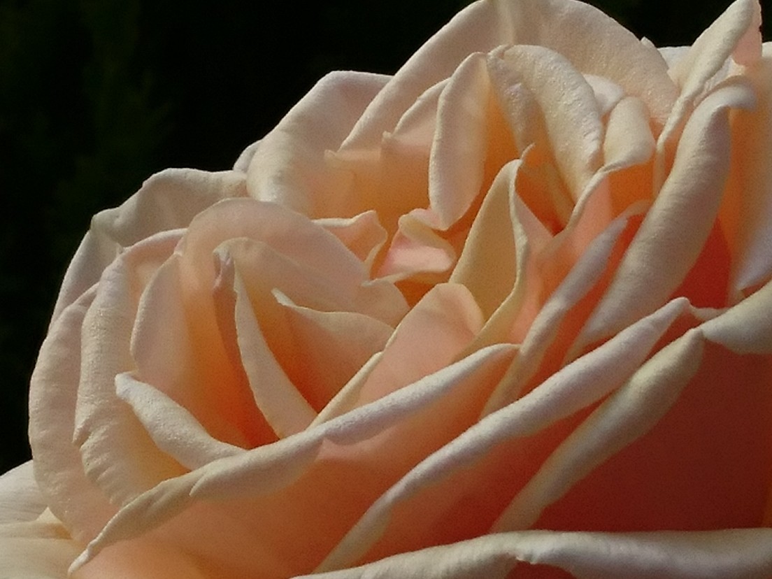e0263536_21231859.jpg
