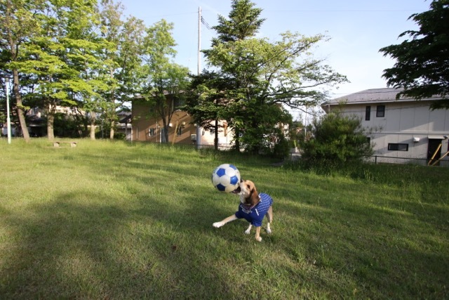 b0031538_23133461.jpg