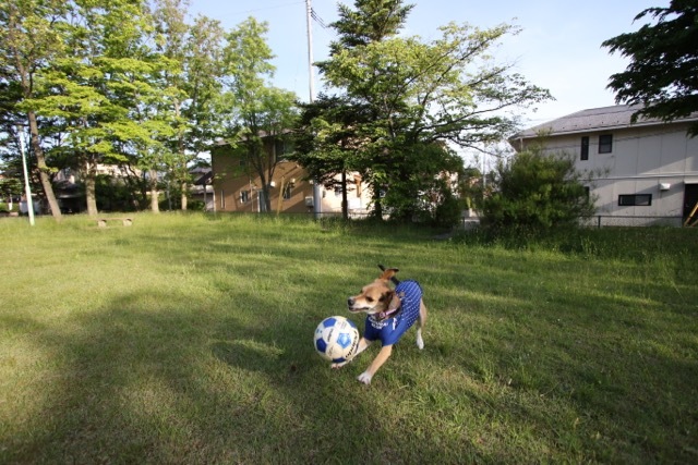 b0031538_23140574.jpg