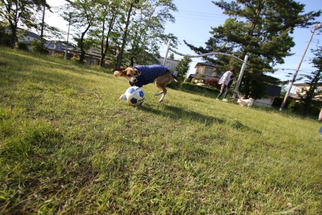 b0031538_23152431.jpg