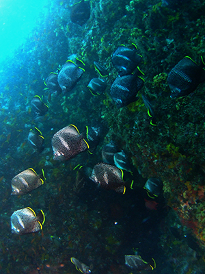 b0189640_01053623.jpg