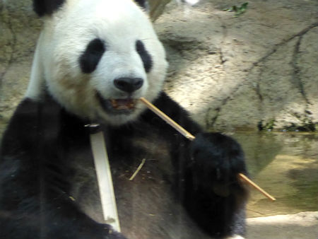d0039443_15070127.jpg