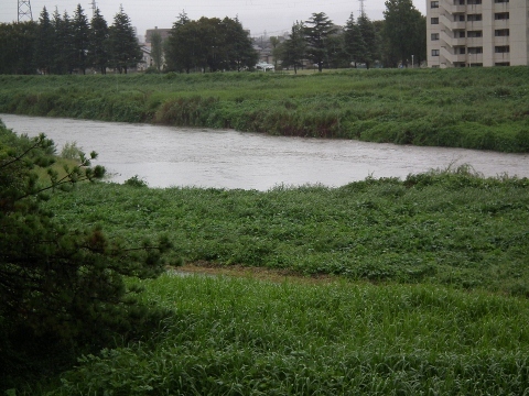d0358843_23343570.jpg