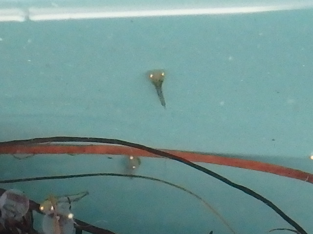 f0334143_9185687.jpg