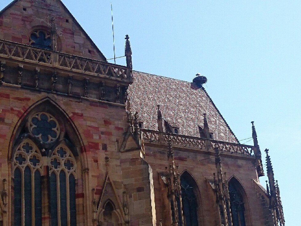 f0323446_05341586.jpg