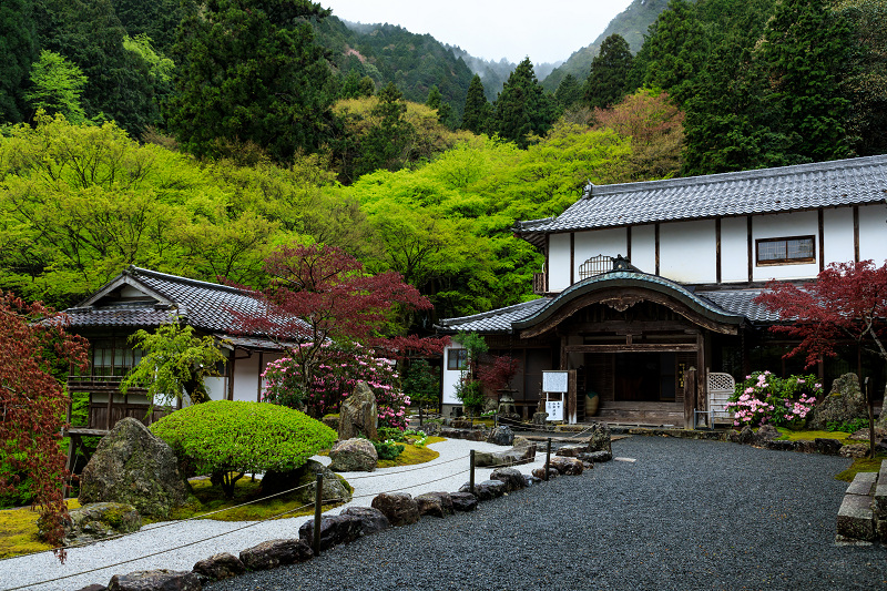 シャクナゲと春の山野草（古知谷阿弥陀寺）_f0155048_22393363.jpg