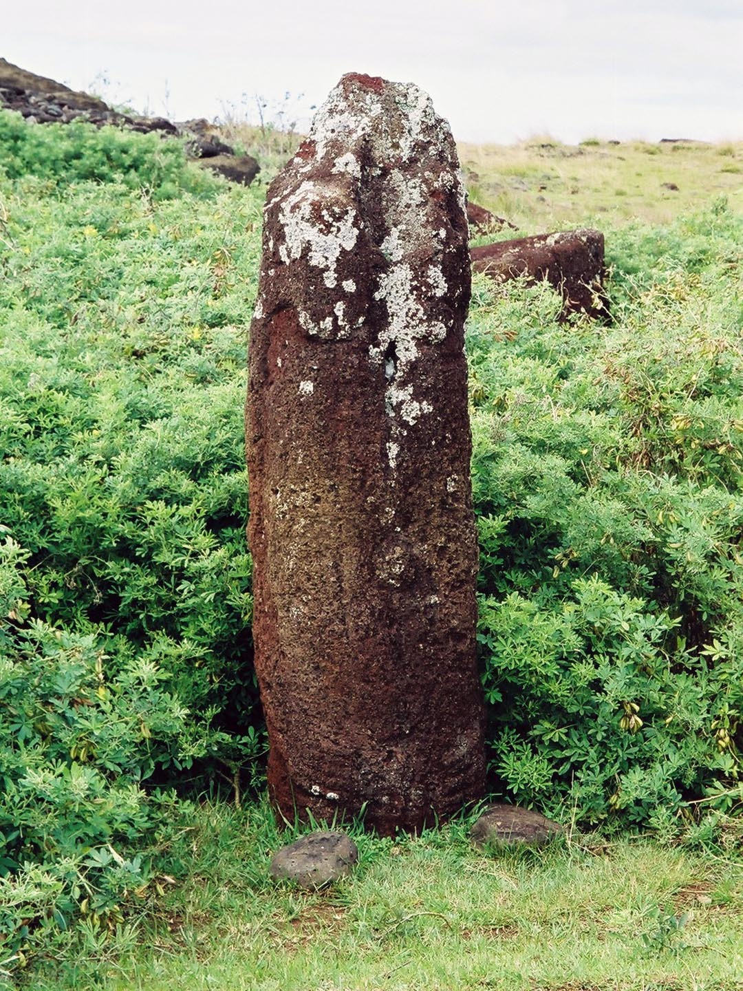 c0011649_12532332.jpg