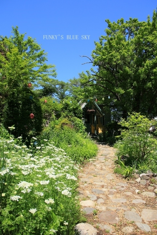 c0145250_10240672.jpg
