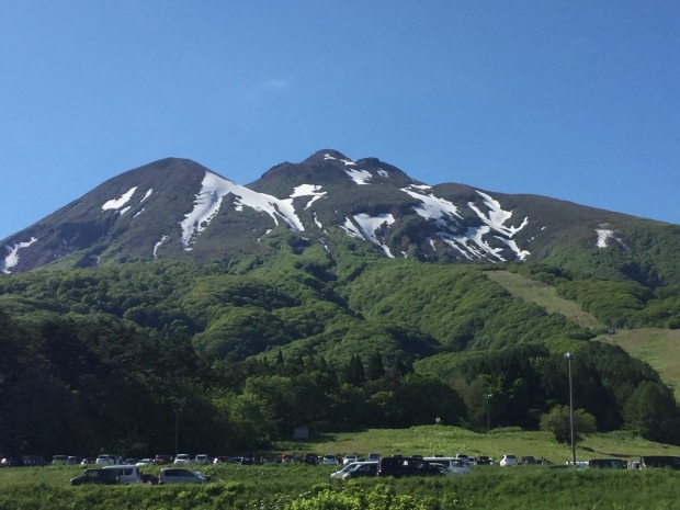 d0165550_10255760.jpeg