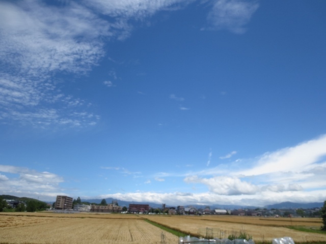 b0248954_08123135.jpg