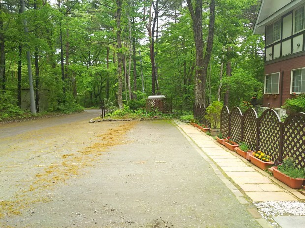 f0364455_09145245.jpg