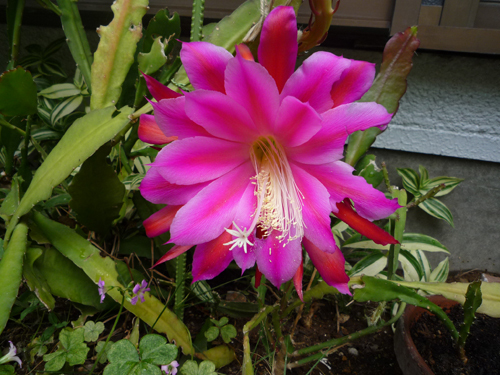 b0045357_04481000.jpg
