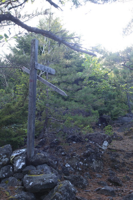 阿弥陀岳 南稜&中央稜 180527 シナノコザクラとホテイラン_e0338862_18064197.jpg