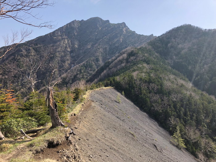 阿弥陀岳 南稜&中央稜 180527 シナノコザクラとホテイラン_e0338862_18103090.jpg