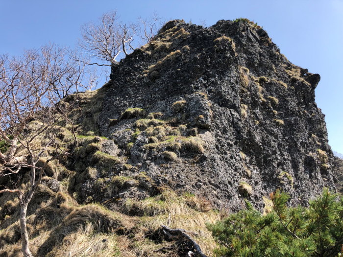 阿弥陀岳 南稜&中央稜 180527 シナノコザクラとホテイラン_e0338862_18144755.jpg