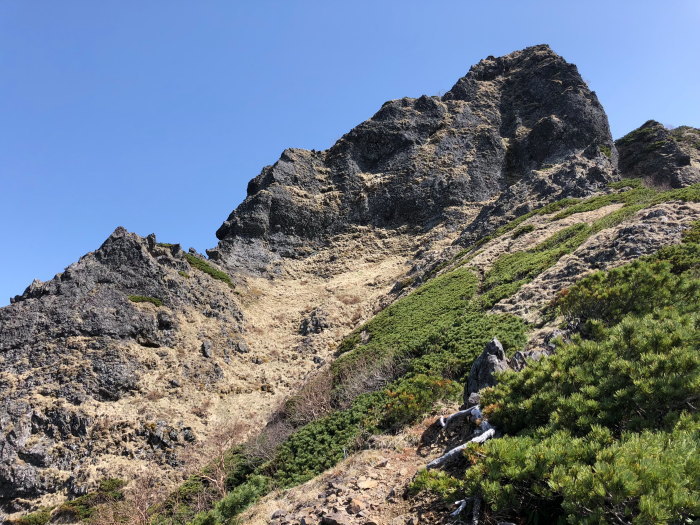 阿弥陀岳 南稜&中央稜 180527 シナノコザクラとホテイラン_e0338862_18154594.jpg