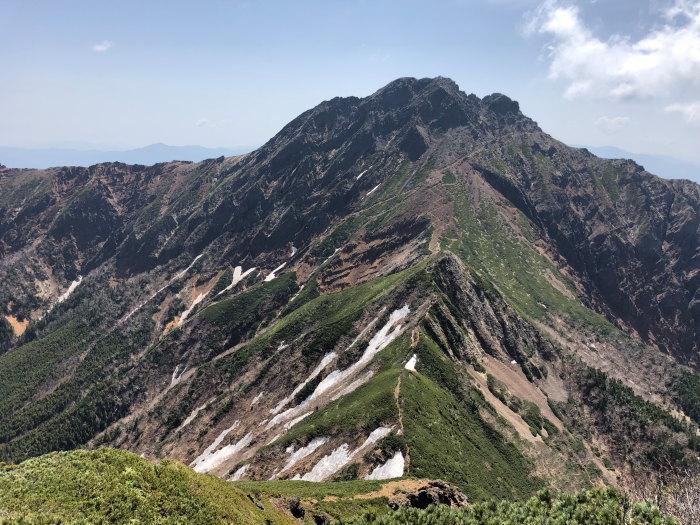 阿弥陀岳 南稜&中央稜 180527 シナノコザクラとホテイラン_e0338862_18420842.jpg