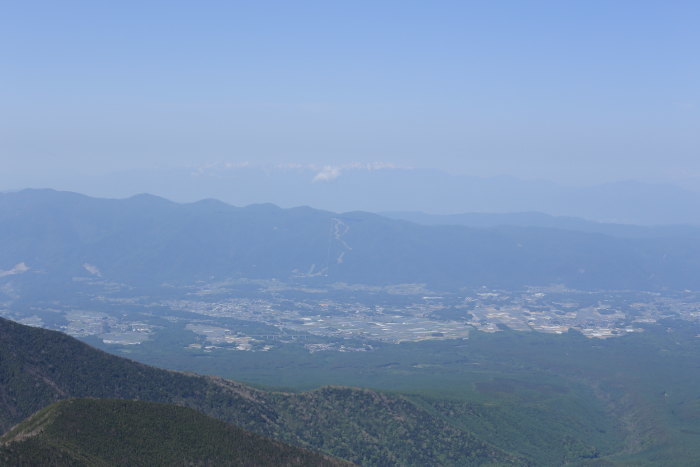 阿弥陀岳 南稜&中央稜 180527 シナノコザクラとホテイラン_e0338862_18432562.jpg