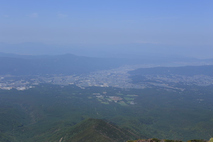 阿弥陀岳 南稜&中央稜 180527 シナノコザクラとホテイラン_e0338862_18445888.jpg