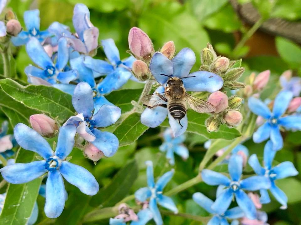 c0123363_16435867.jpg