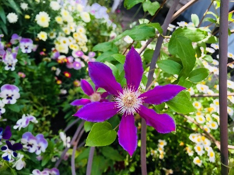 a0053480_06544008.jpg