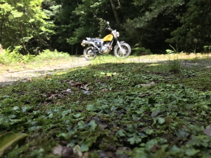 b0168680_21543177.jpeg