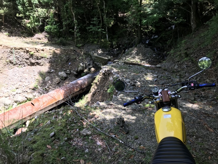 b0168680_21551756.jpeg