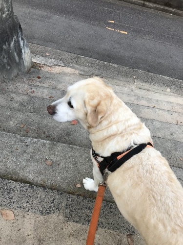 f0315081_21592305.jpeg