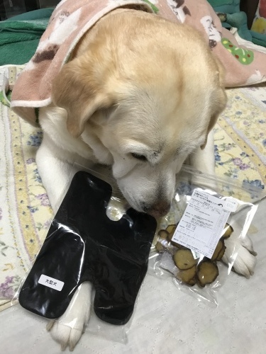 f0315081_22052538.jpeg