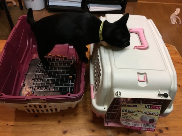 b0377882_00022763.jpeg