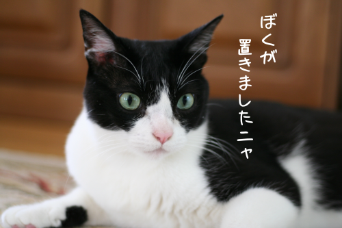 a0216583_13092309.png