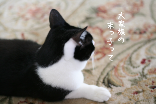 a0216583_13144745.png