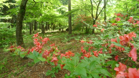 c0212083_01414078.jpg