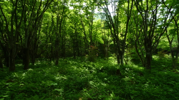 c0212083_01425095.jpg