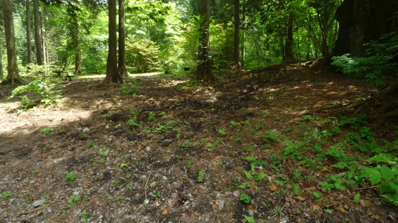 c0212083_01433946.jpg