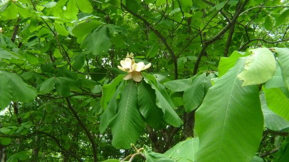 c0212083_01441162.jpg