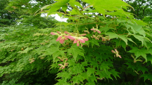 c0212083_01444119.jpg
