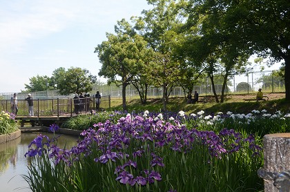 c0229483_2221366.jpg