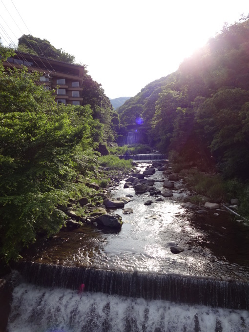 箱根ショックっ!_b0210688_10261431.jpg