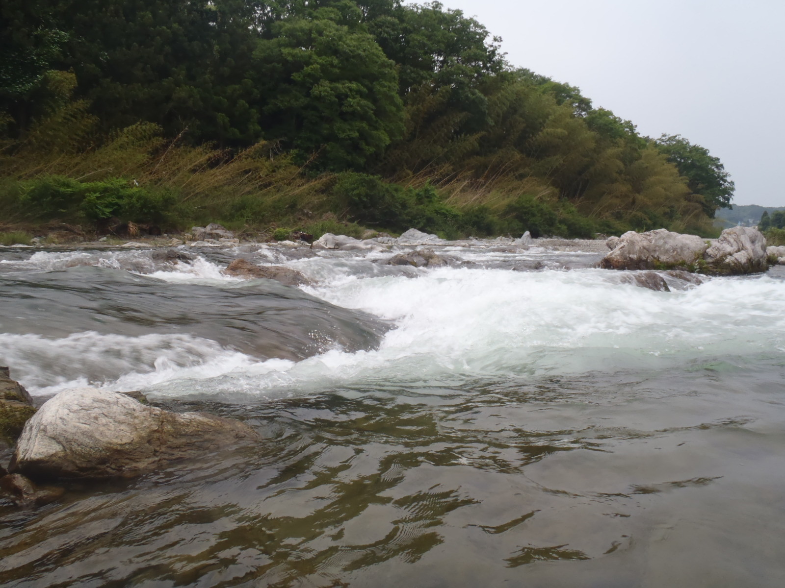 b0139489_21231452.jpg