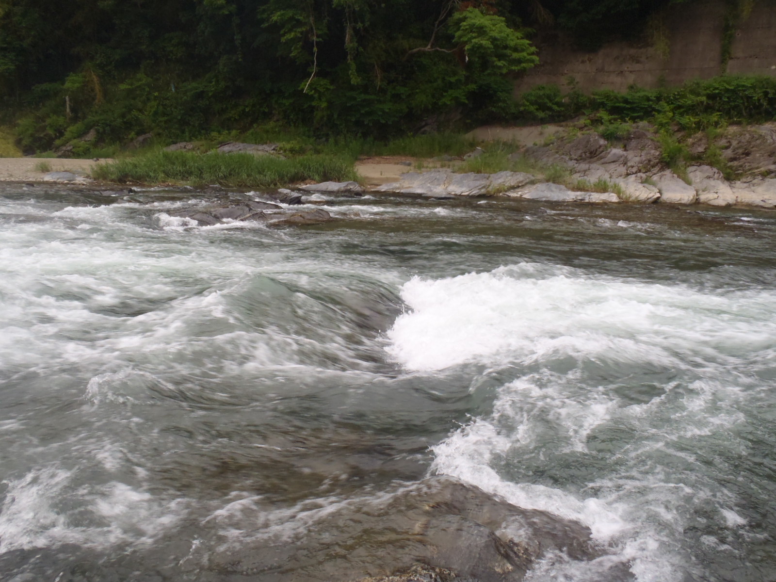 b0139489_21263883.jpg