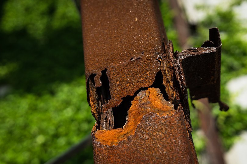 Rusty Red in Green_d0353489_20212937.jpg
