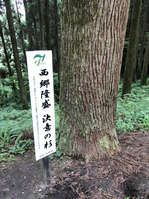 e0145589_00251307.jpeg