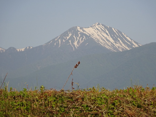 d0212491_2326529.jpg