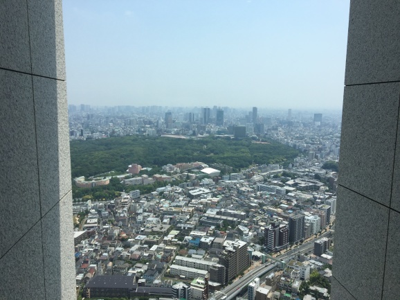 f0042295_21213324.jpeg