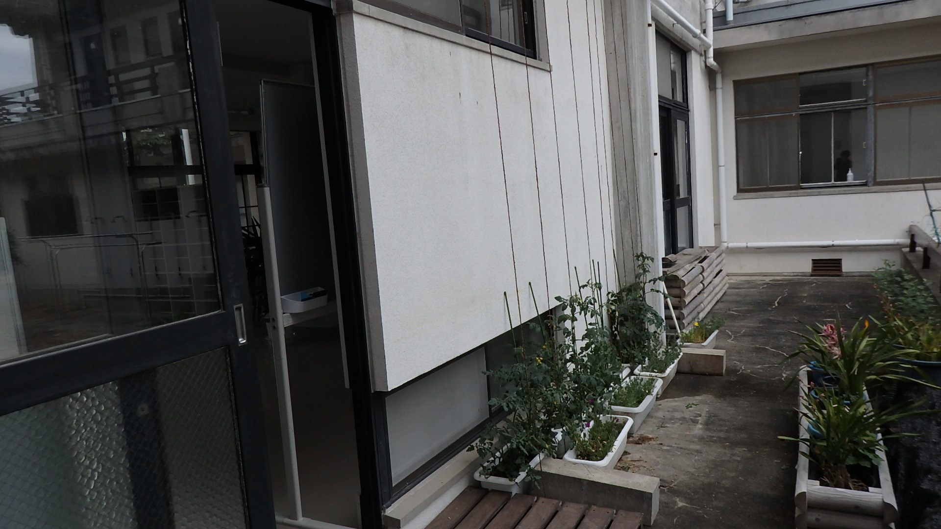 梅雨入りですね。_b0239402_17380762.jpg
