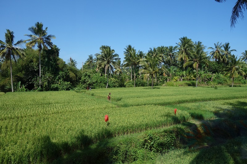 d0133704_10190140.jpg