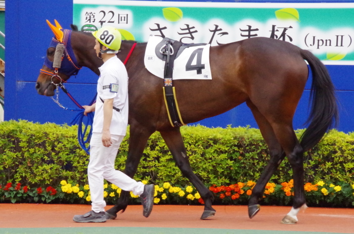 チョリータ 33戦目＠浦和競馬場 8R 2018.5.28_d0344707_21105469.jpg